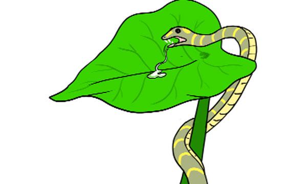 বিষধর ঢোঁড়া