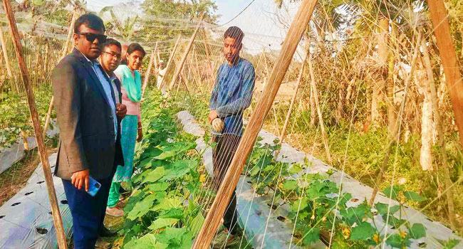 কৃষি কাজে স্বাবলম্বী কাউখালীর অমিত