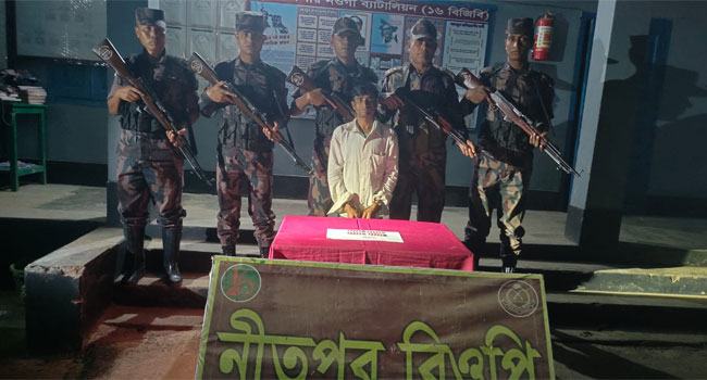 পোরশা সীমান্তে মাদককারবারী আটক