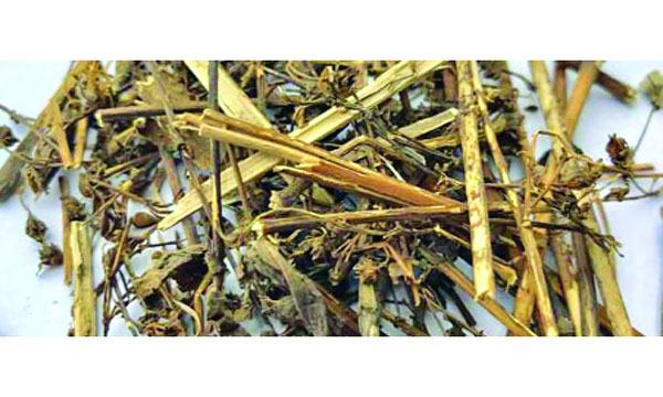 চিরতার গুণ
