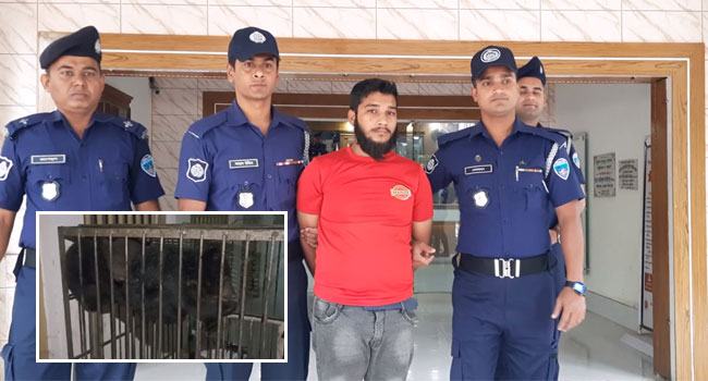 বান্দরবানে পাচারের সময় ভাল্লুকের ২টি শাবক উদ্ধার