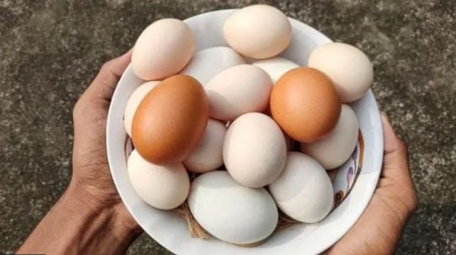 সাদা না কি লাল, কোন ডিমে পুষ্টি বেশি