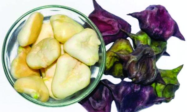 পানিফল