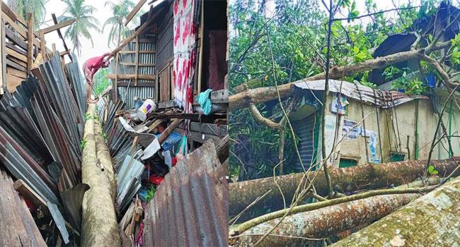 কাউখালীতে কালবৈশাখী ঝড়ে লণ্ডভণ্ড হয়ে গেছে বাড়ি-ঘর