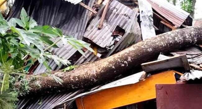কালবৈশাখী ঝড়ে তছনছ লালমোহন,  ২ জনের মৃত্যু
