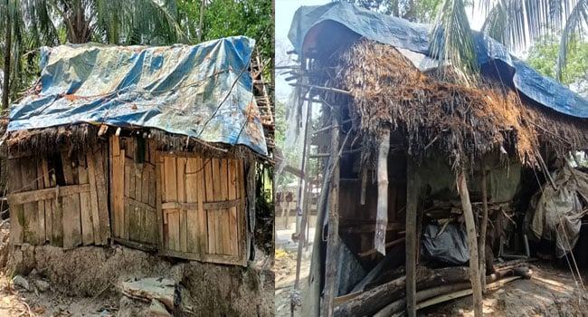 পচা নাড়ার ঘরে বসবাস বৃদ্ধা আয়েশা বিবির