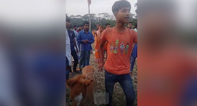 মির্জাগঞ্জে ঘোড়ার দৌড়ে বেল্লাল চ্যাম্পিয়ন