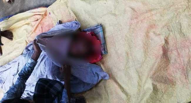 চন্দনাইশে হাতির আক্রমণে নিহত ১