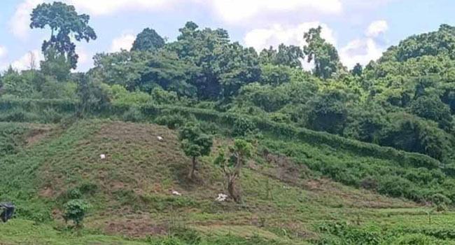 রাখাইনে তুমুল যুদ্ধ, মর্টার শেলের শব্দে প্রকম্পিত সীমান্ত এলাকা