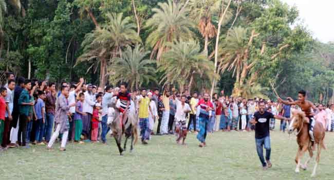 ভান্ডারিয়ায় ঐতিহ্যবাহী ঘোড়া দৌড় প্রতিযোগিতা দেখতে দর্শনার্থীদের ঢল