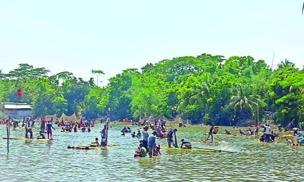 ঐতিহ্যবাহী ফোড়কার পাড় পুকুরে মাছ ধরা উৎসব