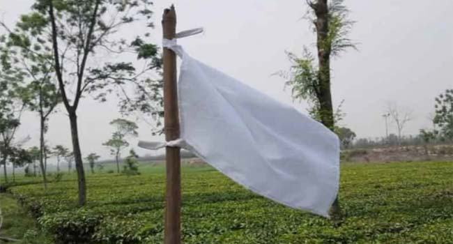 বালিয়াডাঙ্গীতে ভারতের দখলে থাকা ৯১ বিঘা জমি পুনরুদ্ধারে আনন্দ উৎসব