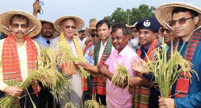 উচ্চফলনশীল জাতের ধানের চাষ বাড়াতে পারলে চাল রফতানিও করা যাবে : কৃষিমন্ত্রী