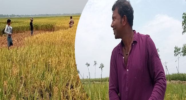 ‘কাম না করলে তো ভাত জুটবো না, তাই রোইদের মধ্যেই কাম করি’