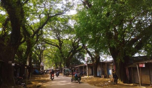এসো নীপবনে ছায়াবীথি তলে...