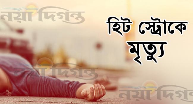 রাজবাড়ীতে হিট স্ট্রোকে অবসরপ্রাপ্ত শিক্ষকের মৃত্যু
