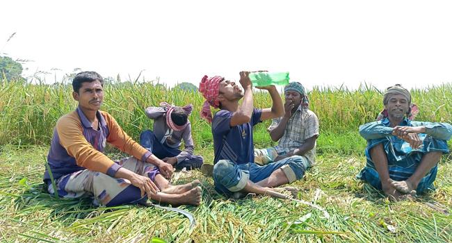 রা‌তে বৃ‌ষ্টি, দিনে সূর্যের চোখ রাঙানি