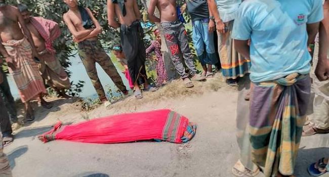 উল্লাপাড়ায় গাড়িচাপায় অটোভ্যানচালক নিহত