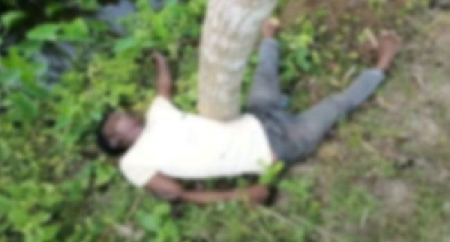 কাঁঠালিয়ায় অটোচালকের লাশ উদ্ধার