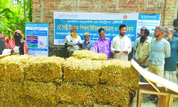 ডালের উচ্ছিষ্টে পশুখাদ্য ‘হে’