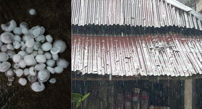 দোয়ারাবাজারে শিলাবৃষ্টির তাণ্ডবে টিন ছিদ্র হয়ে ক্ষতিগ্রস্ত সহস্রাধিক বসতঘর