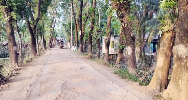 রাস্তা প্রশস্ত করতে কাটা হবে ৮৫৬টি গাছ