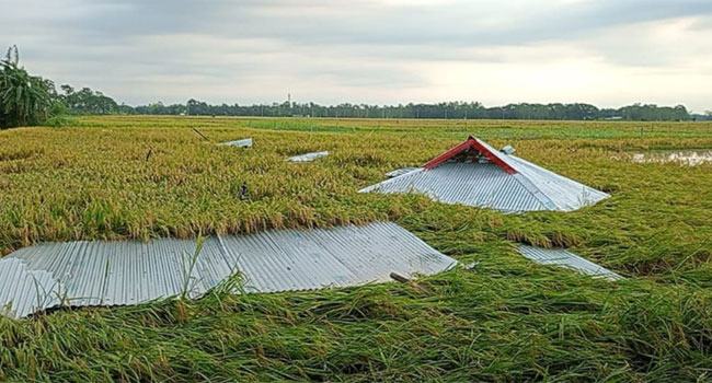 নাসিরনগরে কালবৈশাখীর আঘাতে ৪০ বাড়িঘর ক্ষতিগ্রস্থ