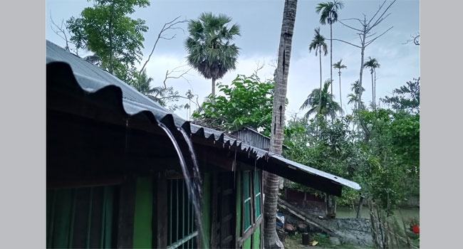 মির্জাগঞ্জে স্বস্তির বৃষ্টি, বন্ধ রয়েছে বিদ্যুৎ ব্যবস্থা