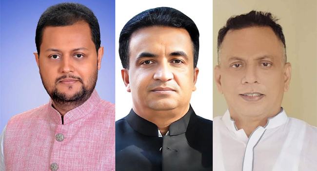 পিরোজপুরের ৩ উপজেলায় বিজয়ী হলেন যারা