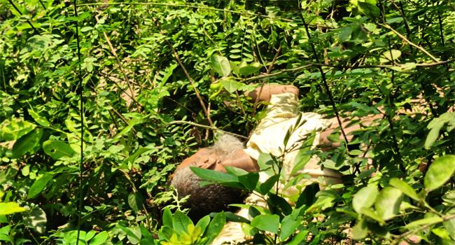 কুষ্টিয়ায় রেলসেতুর নিচ থেকে বৃদ্ধের লাশ উদ্ধার