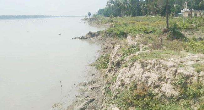 মির্জাগঞ্জে ঝুঁকিপূর্ণ বেড়িবাঁধ