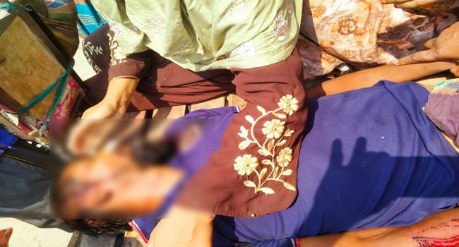জীবননগরে পাখিভ্যানের ধাক্কায় বাইসাইকেলচালক নিহত