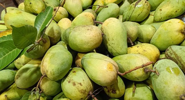 আমের দাম বাড়ার কারণ জানালেন কৃষিমন্ত্রী