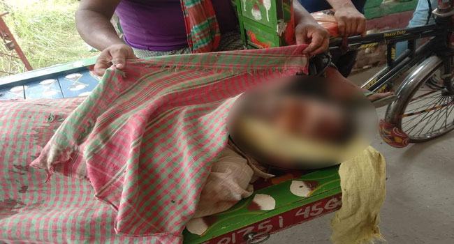 কুষ্টিয়াতে কৃষককে কুপিয়ে হত্যা
