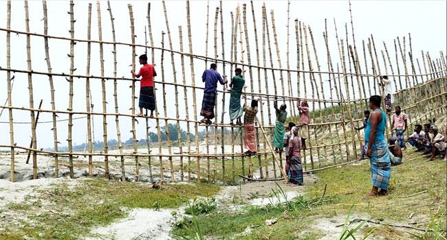 জামালপুরে ভাঙন ঠেকাতে স্বেচ্ছাশ্রমে বাঁশ পাইলিং