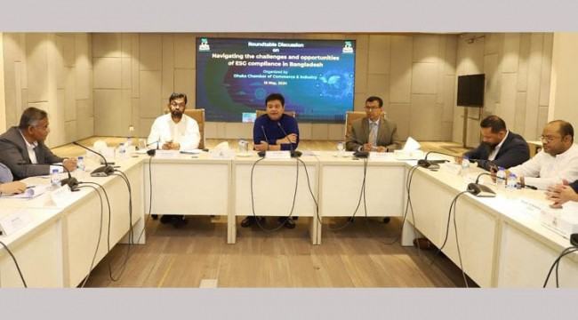 ব্যবসা সম্প্রসারণে ইএসজি কমপ্লায়েন্স রিপোটিং স্ট্যান্ডার্ড থাকা জরুরি