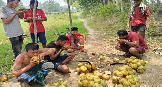 হোসেনপুরে তীব্র গরমে কদর বেড়েছে তালের শাঁসের