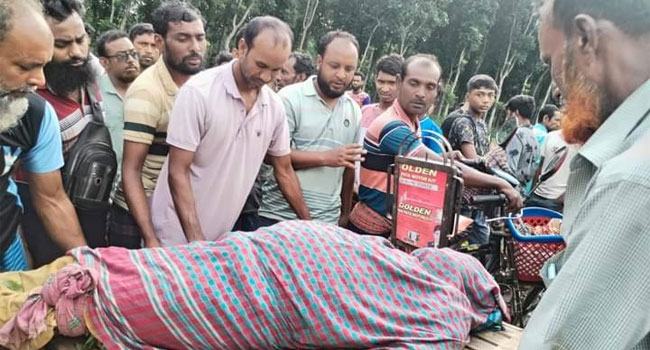 চুয়াডাঙ্গায় বিএন‌পি নেতার লাশ মিল‌ল পাটক্ষেতে