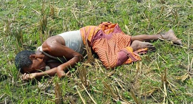 সরাইলে ফসলি জমিতে মিলল বৃদ্ধের লাশ