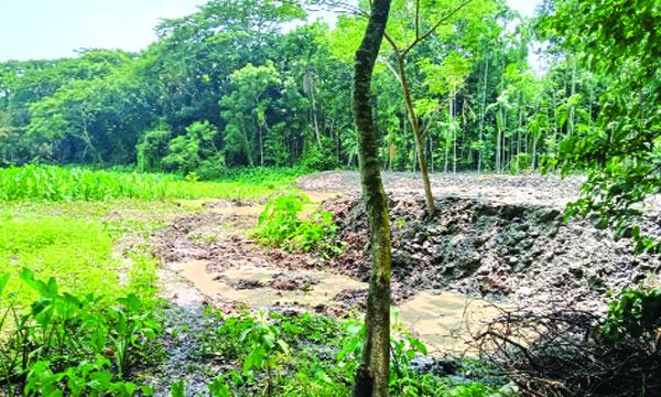 দখল হয়ে যাচ্ছে ২০০ বছরের পুরনো কাদিরাবাদ দীঘি