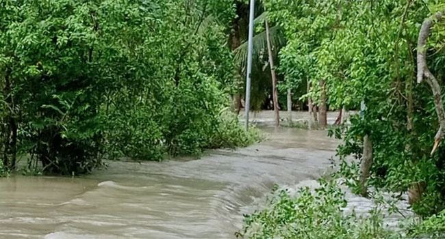 পটুয়াখালীতে জোয়ারে ভেসে যাওয়া যুবকের মৃত্যু