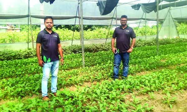 কৃষকের স্বপ্ন পূরণ করছে পলিনেট হাউজ