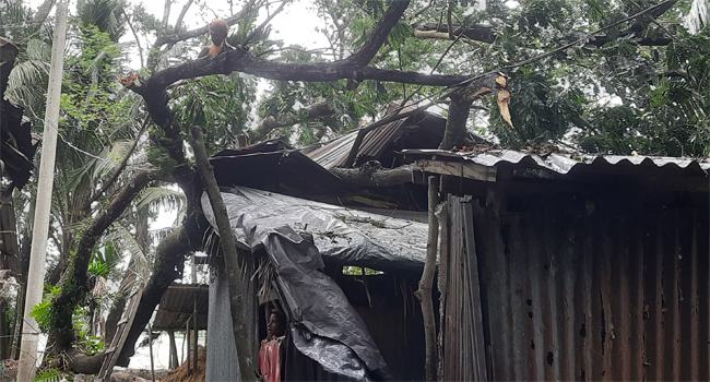 বোরহানউদ্দিনে ঘূর্ণিঝড়ের আঘাতে মৃত্যু ১