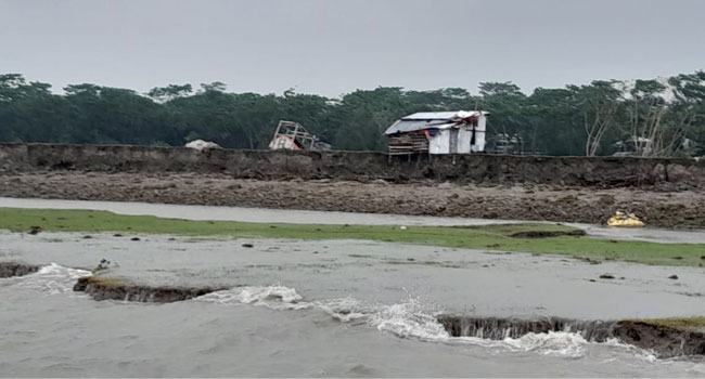 বৃষ্টির বদলে আজ কেন রোদ ঝলমলে