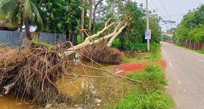 ঘূর্ণিঝড় রেমালের তাণ্ডবে লণ্ডভণ্ড উপকূল উপজেলা কাউখালী