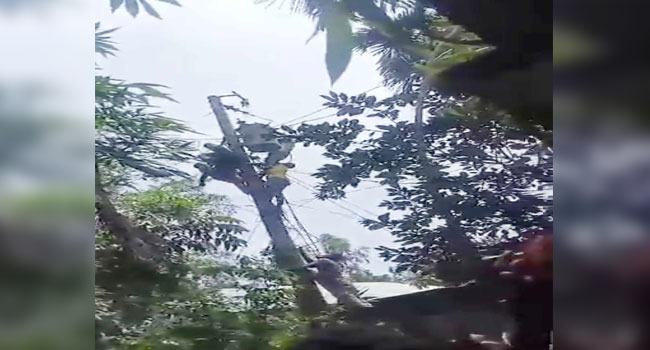 নাগরপুরে বিদ্যুৎস্পৃষ্টে নিরাপত্তা প্রহরীর মৃত্যু