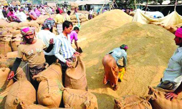 সরকার নির্ধারিত ধানের দর পাচ্ছেন না কৃষকরা