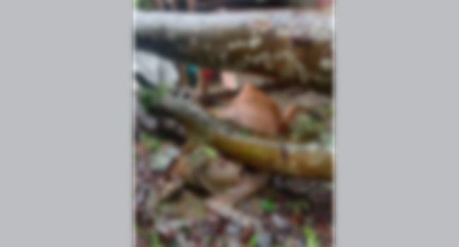 কুয়াকাটাসহ উপকূলীয় এলাকা ঘূর্ণিঝড় রেমালের তাণ্ডবে লণ্ডভণ্ড