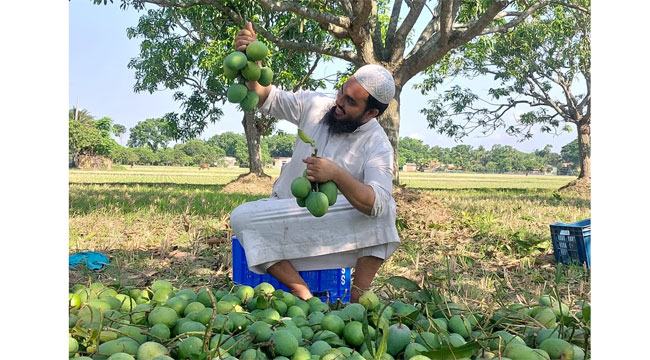 খাঁটি পণ্যের ব্যবসা করে যেভাবে সফল এই আলেম