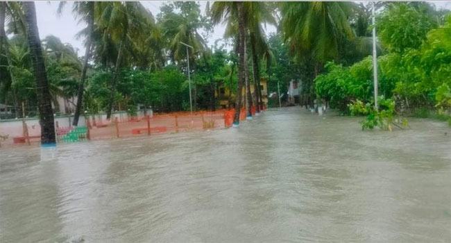 কাঠালিয়া কৃষি ও মৎস্য খাতে ২৯ কোটি ৮০ লাখ টাকার ক্ষতি